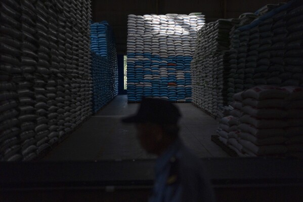 A security guard walks across a warehouse packed with bags of rice packaged for shipment at Hoang Minh Nhat, a rice export company in Can Tho, Vietnam, Friday, Jan. 26, 2024. The Mekong Delta, where 90% of Vietnam's exported rice is farmed, is one of the world's regions most vulnerable to climate change. (AP Photo/Jae C. Hong)