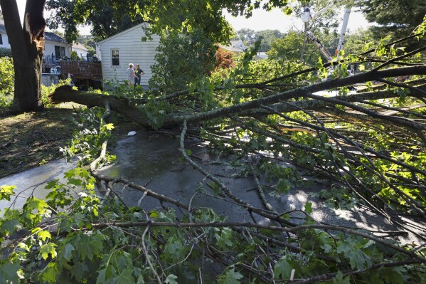 Fallen trees block the road in a residential neighborhood, Friday, Aug. 18, 2023, in Johnston, R.I., after severe weather swept through the area. (AP Photo/Michael Dwyer)