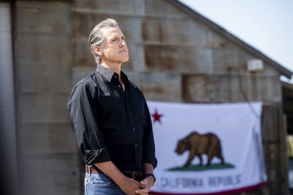 California Gov. Gavin Newsom stands in front of a state flag during a press conference about President Donald Trump's tariffs on Wednesday, April 16, 2025, at an almond farm in Ceres, Calif. (AP Photo/Noah Berger)