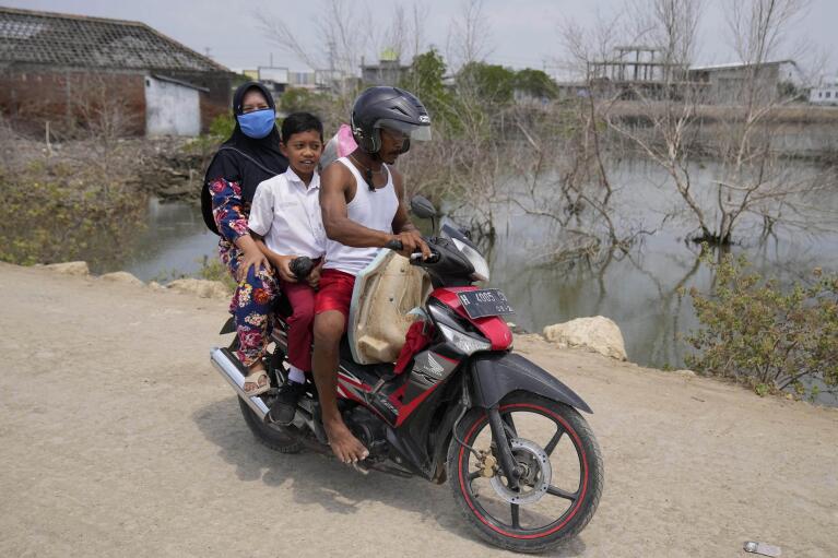 Asiyah, izquierda, y su esposo Aslori, derecha, viajan en motocicleta con su hijo Muhammad Ibnu Rosihin después de recogerlo de la escuela en Sidogemah, Java Central, Indonesia, el lunes 5 de septiembre de 2022. (Foto AP/Dita Alangkara)
