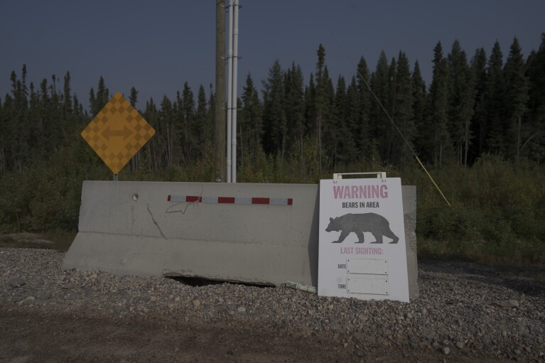 A sign marks bear sightings on a road at Cenovus' Sunrise oil facility northeast of Fort McMurray on Thursday, Aug. 31, 2023. (AP Photo/Victor R. Caivano)