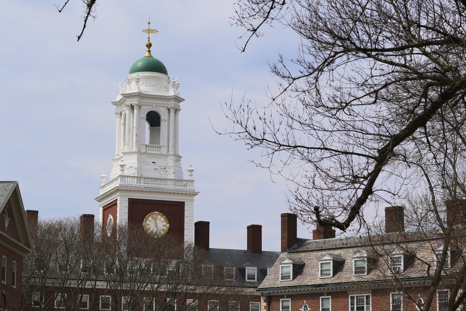 Harvard to self-fund some research to offset cuts to federal grants