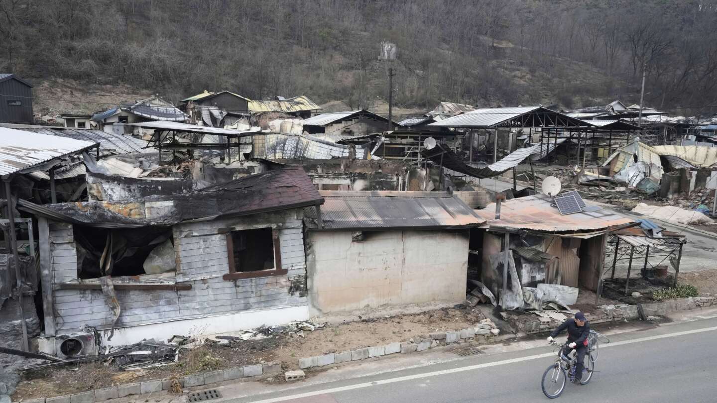 South Korea’s worst wildfires are now almost contained following rain and cooler weather
