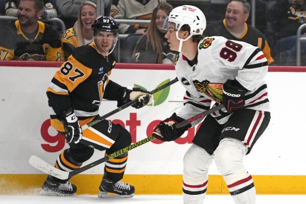 The development of Connor Bedard is just one NHL story line to watch this  season - The Boston Globe