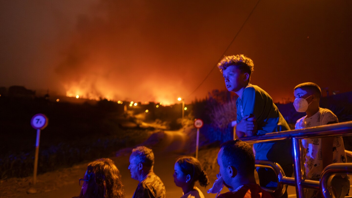 Een ambtenaar zei dat de bosbranden op het populaire toeristeneiland Tenerife in Spanje opzettelijk zijn aangestoken