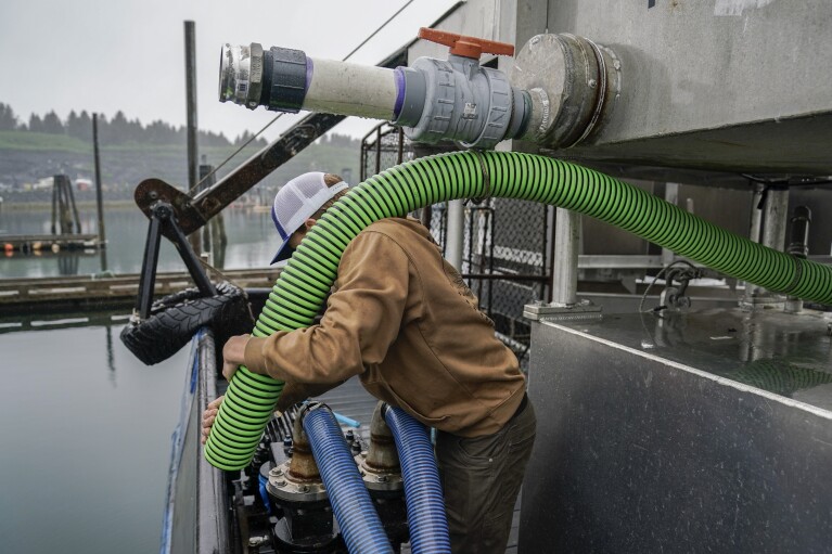 Lane Bolich, captain of the Harmony, reattaches a new hose for the boat's tendering tanks, Saturday, June 24, 2023, in Kodiak, Alaska. (AP Photo/Joshua A. Bickel)