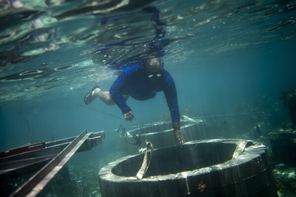 A worker inspects the permanent foundations being constructed on the coral reef for a judging tower to be used during the Olympic Games surf competition in Teahupo'o, Tahiti, French Polynesia, Friday, Jan. 12, 2024. The size of the judging tower has been scaled back and new infrastructure plans are being drawn up to minimize the need for new construction. (AP Photo/Daniel Cole)