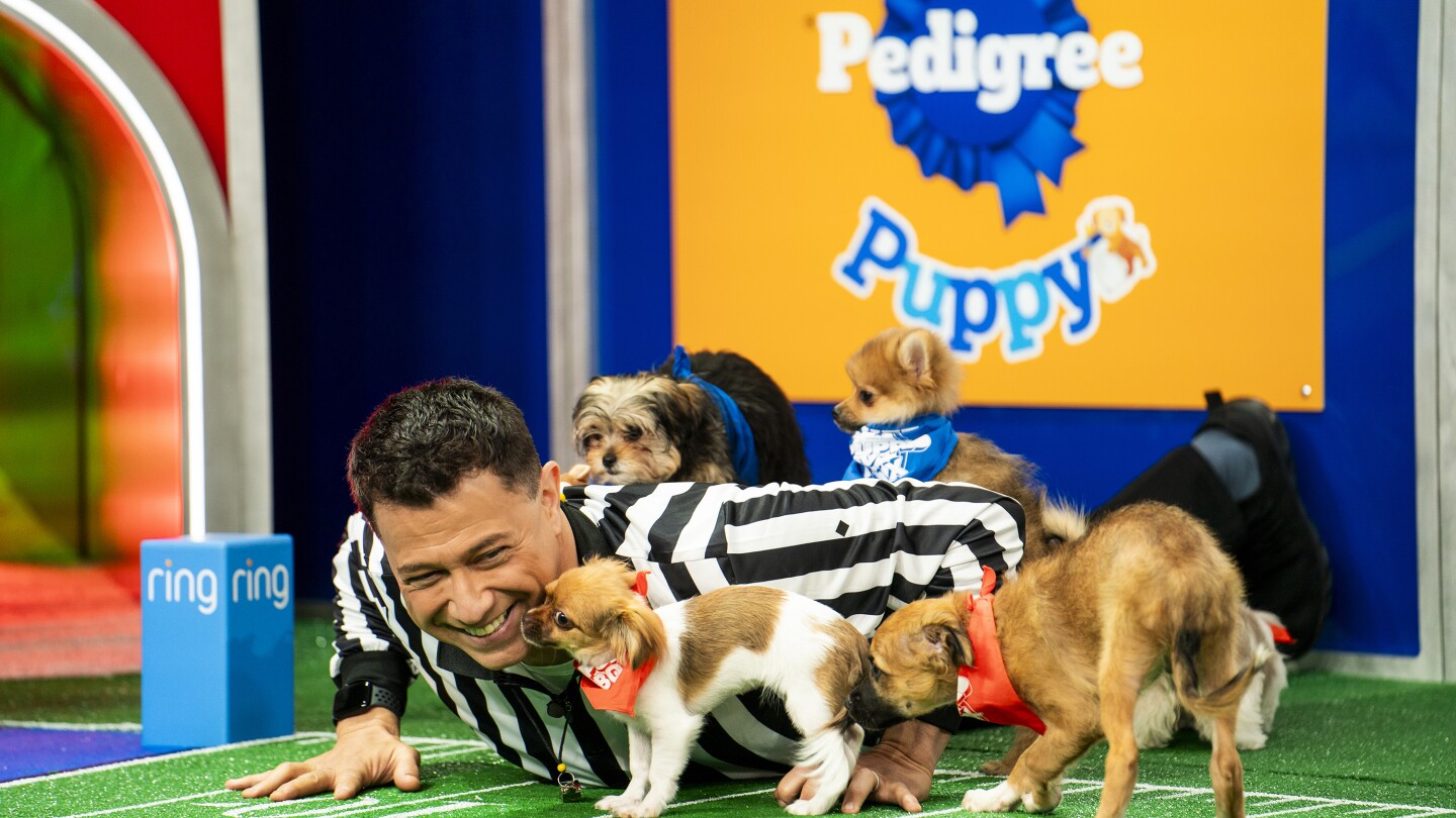 НЮ ЙОРК AP — Ежегодната Puppy Bowl навършва 20 години
