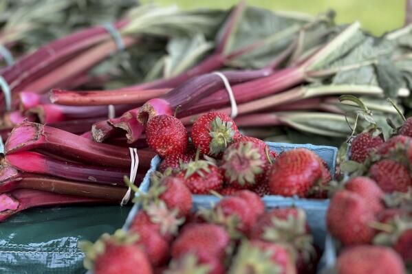 This June 3, 2023, image provided by Jessica Damiano shows farm-fresh strawberries and rhubarb for sale in Glen Cove, N.Y. (Jessica Damiano via AP)