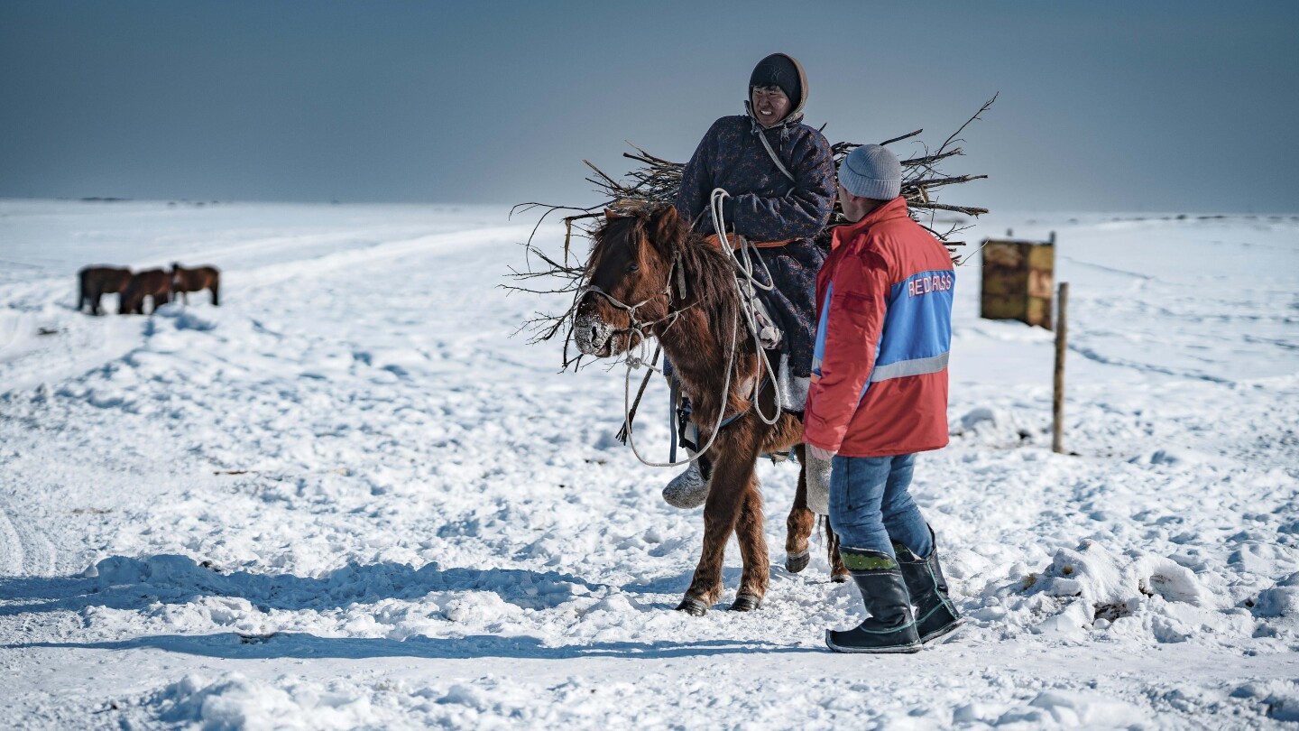 Обилните снегове и сушата от смъртоносния „дзуд“ убиха повече от 7 милиона глави добитък в Монголия