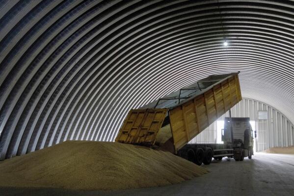 FILE - A dump track unloads grain in a granary in the village of Zghurivka, Ukraine, Aug. 9, 2022. Poland's government said Saturday that it has decided to temporarily prohibit grain and other food imports from Ukraine as it seeks to soothe the rising anger of Polish farmers, who say they are losing huge amounts of money to a glut of Ukrainian grain on the market. (AP Photo/Efrem Lukatsky, File)