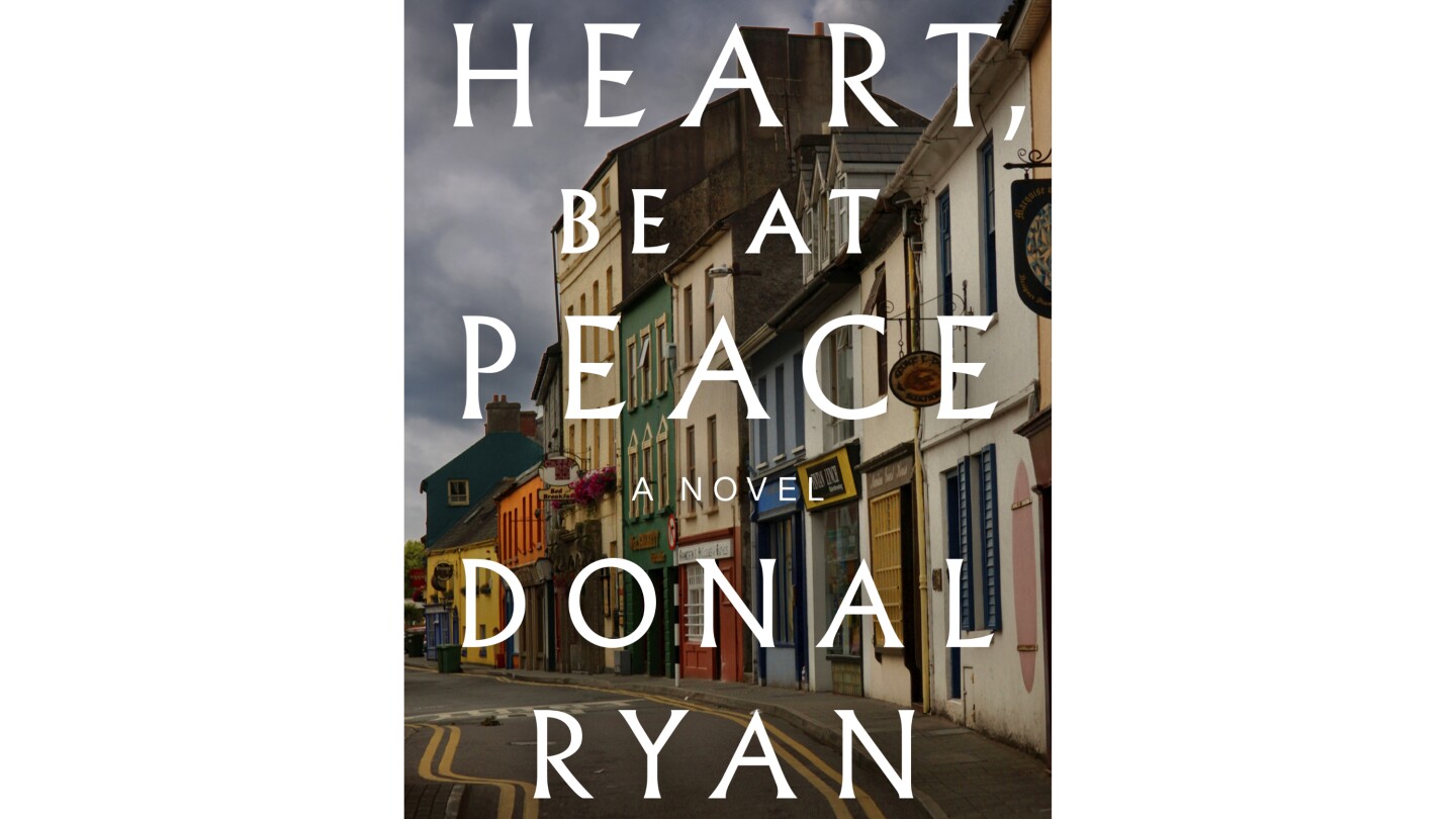 През 2014 г Donal Ryan публикува роман в САЩ наречен