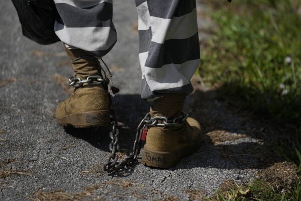 Members of Brevard County's chain gang, prisoners convicted of non-violent misdemeanors, wear chains around their ankles as they pick up trash along a roadside, Thursday, Sept. 14, 2023, in Titusville, Fla. Participation in the chain gang, created by county Sheriff Wayne Ivey as a crime deterrent, is voluntary and sometimes has a waitlist to join. (AP Photo/Rebecca Blackwell)