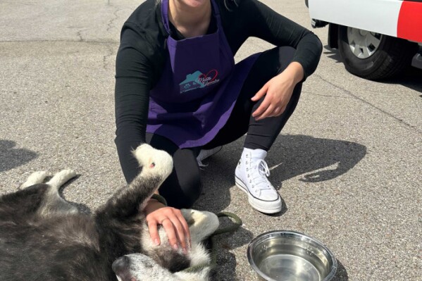 By combining their love of animals with a competitive spirit, the initiative offers participating groomers the chance to win exclusive rewardsGRANGER, IN / ACCESSWIRE / October 2, 2023 / Wag'n Tails, the industry leader in mobile grooming vans ...