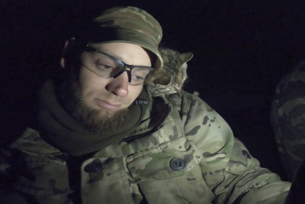 In this image from video provided by Platsdarm, a group of body collectors led by Oleksii Yukov, a kitten nuzzles Yukov in Dovhenke, Ukraine in November 2022, during a search for Oleksandr “Sasha” Romanovych Hrysiuk. The cat circled one spot in the wreckage. "Souls come over and wander next to us," Yukov explained. "A sign came to show us where he was lying... He wants to be back home. Mother is waiting." (Platsdarm via AP)