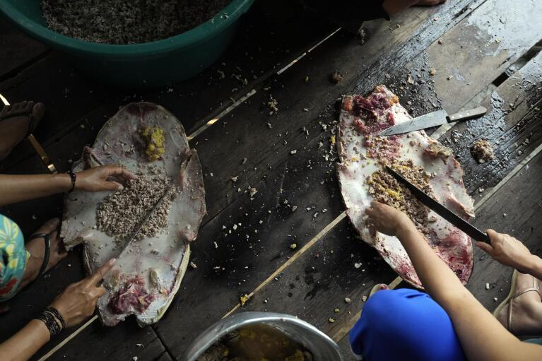 Women prepare turtle meat for lunch at San Raimundo settlement, in Carauari, Brazil, Monday, Sept. 5, 2022. They usually cook turtle meat according to traditional recipes. (AP Photo/Jorge Saenz)