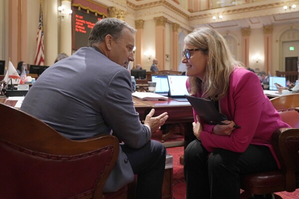 Republican state Sen. Brian Dahle, left, and Democratic Assemblymember Buffy Wicks, discuss a measure as the Legislature voted on the state budget bills at the Capitol in Sacramento, Calif., Wednesday, June 26, ,2024. Lawmakers passed the budget bills that closed a multi-billion dollar deficit and sent it to the governor. (AP Photo/Rich Pedroncelli)