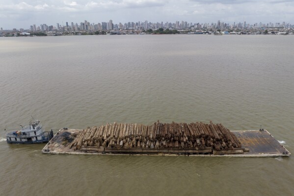 FILE - A ferry boat transports logs cut from the Amazon rainforest in Guama river in Belem, northern state of Para, Brazil, Jan. 14, 2023. The two-day Amazon Summit opens Tuesday, Aug. 8, 2023, in Belem, where Brazil hosts policymakers and others to discuss how to tackle the immense challenges of protecting the Amazon and stemming the worst of climate change. (AP Photo/Andre Penner, File)