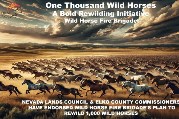 Wild Horse Fire Brigade ('WHFB') has received formal letters of endorsement from the Nevada Lands Council and Elko County Nevada Commissioners who voted unanimously to support Wild Horse Fire Brigade's large-scale Rewilding project for up to 1,000 wild horses.