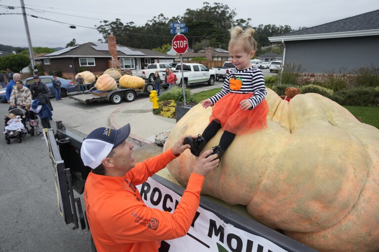 Travis Ginger of Anoka, Minn., lifts his 2-year-old daughter, Lily, from his so-called gourd "Michael Jordan" Before it is weighed in the 50th Annual World Championship Pumpkin Weighing Championship at Safeway in Half Moon Bay, Calif., Monday, Oct. 9, 2023. A pumpkin grown by Ginger won the event in 2022. (AP Photo/Eric Risberg)