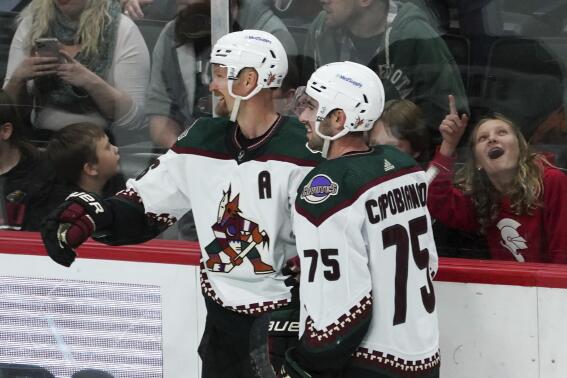 Arizona Coyotes' Anton Stralman, left, and Kyle Capobianco (75) celebrate Stralman's goal off Minnesota Wild goalie March-Andre Fleury in the second period of an NHL hockey game, Tuesday, April 26, 2022, in St. Paul, Minn. (AP Photo/Jim Mone)