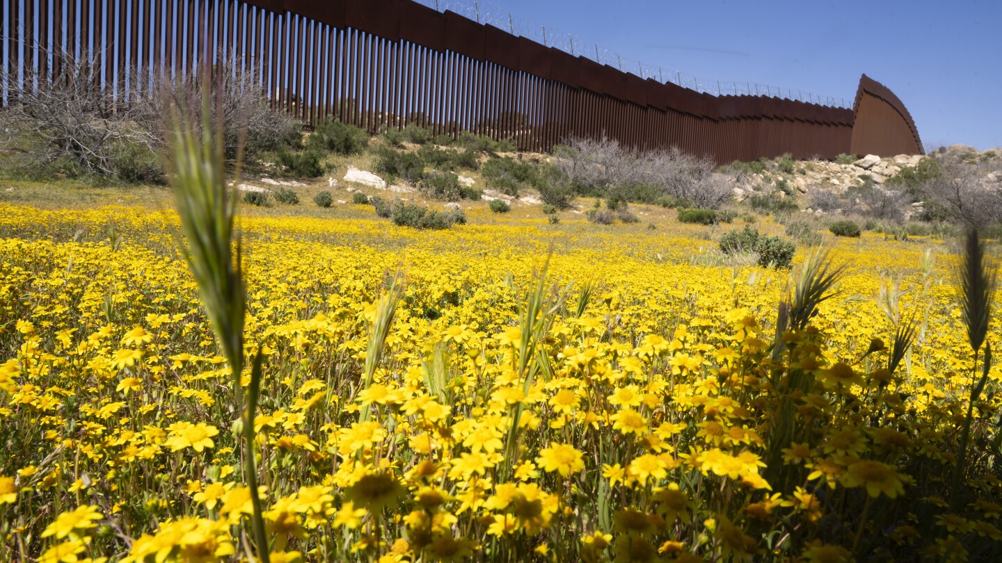 ЯКУМЕ Мексико АП — Близо до извисяващата се гранична стена