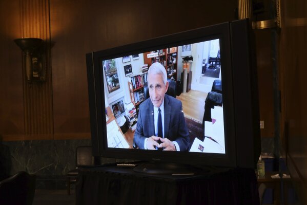 Dr. Anthony Fauci, director of the National Institute of Allergy and Infectious Diseases, speaks remotely during a virtual Senate Committee for Health, Education, Labor, and Pensions hearing, Tuesday, May 12, 2020, on Capitol Hill in Washington.  (Win McNamee/Pool via AP)