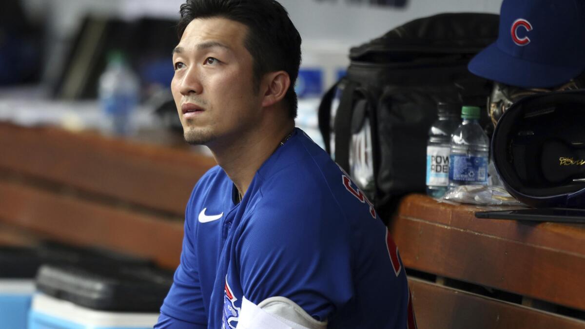 Japan holds up Seiya Suzuki jersey with World Baseball Classic medal – NBC  Sports Chicago