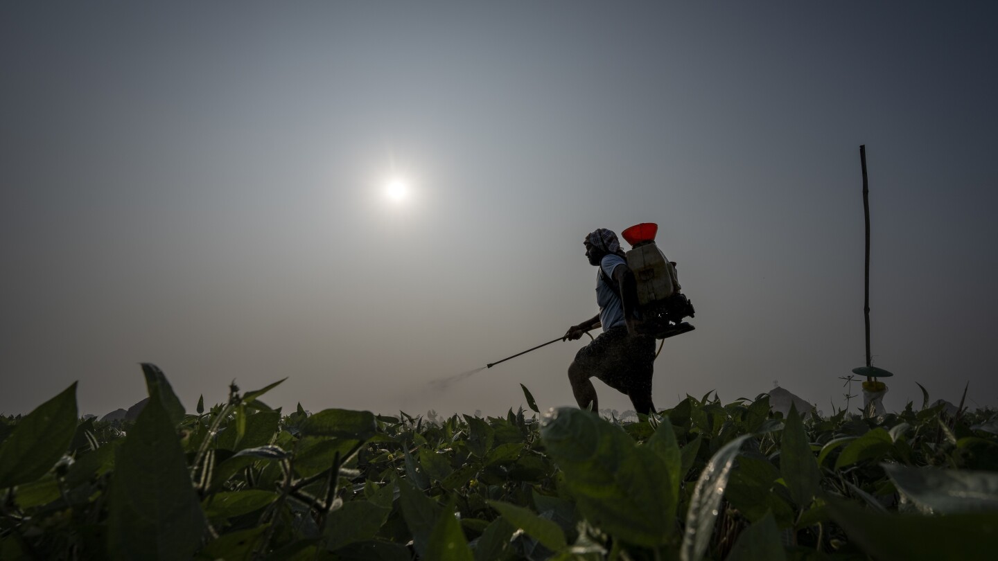 Фермерите в Индия са силно засегнати от екстремното време. Някои казват, че разширяването на естественото земеделие е отговорът