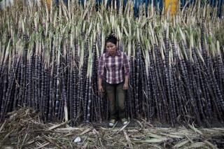 FILE - A woman sells sugar cane at the Oriental Market in Managua, Nicaragua, Dec 7, 2012. The Biden administration dropped Nicaragua from a list of countries that can ship sugar to the United States at low import tax rates, another attempt to put economic pressure on the authoritarian government of Nicaraguan president Daniel Ortega. The Office of the U.S. Trade Representative on Wednesday, July 20, 2022 put out the list allocating quotas to 39 countries for just over 1.1 million metric tons of raw sugar cane. (AP Photo/Esteban Felix, file)
