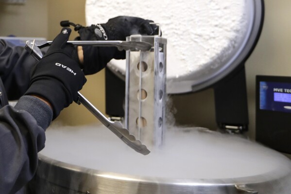 FILE - A container with frozen embryos and sperm stored in liquid nitrogen is removed at a fertility clinic in Fort Myers, Fla., Oct. 2, 2018. Alabama lawmakers are moving fast to approve measures to protect in vitro fertilization clinics from lawsuits in response to an uproar sparked by a state supreme court ruling last month that found that frozen embryos have the rights of children. (AP Photo/Lynne Sladky, File)