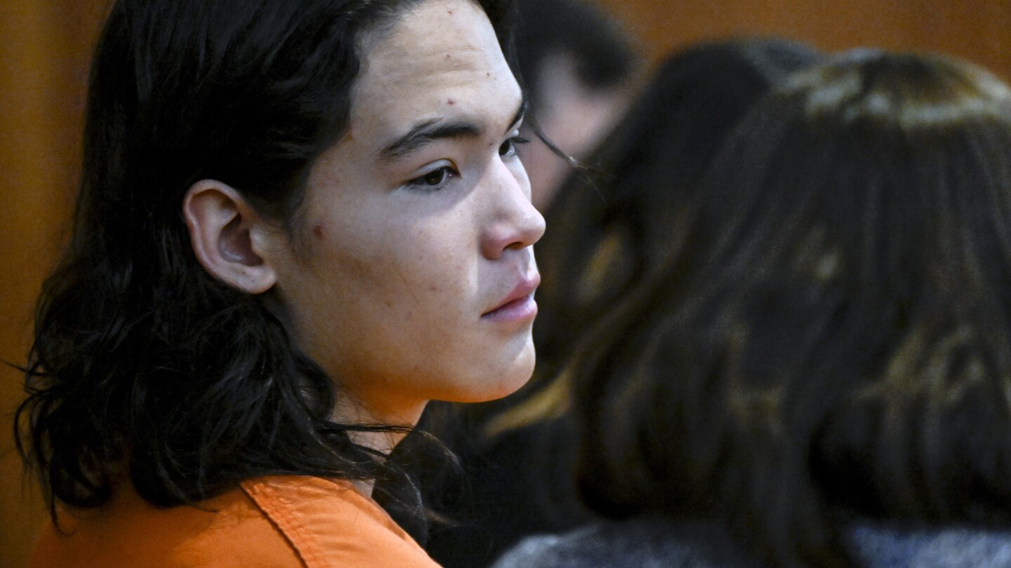 1 от 3-ма тийнейджъри, обвинени в убийството на жена от Колорадо, докато са хвърляли камъни по колите, се признават за виновен