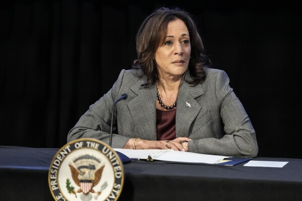 Vice President Kamala Harris speaks at The Gathering Spot on voting rights and the Biden administration's efforts to ensure ballot access for Americans, Tuesday, Jan. 9, 2024, in Atlanta. After brief public remarks, Harris held a private round table with business, civic and non-profit leaders. (AP Photo/Mike Stewart)