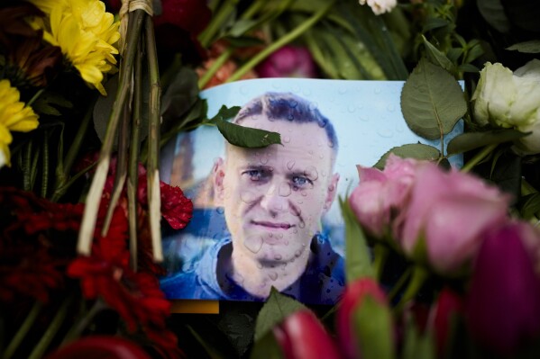 Rain drops cover a portrait of Russian opposition leader Alexei Navalny, placing between flowers in front of the Russian embassy in Berlin, Wednesday, Feb. 21, 2024. German parliament Bundestag is discussing about consequences of Navalny's dead at a prison on Friday. (AP Photo/Markus Schreiber)