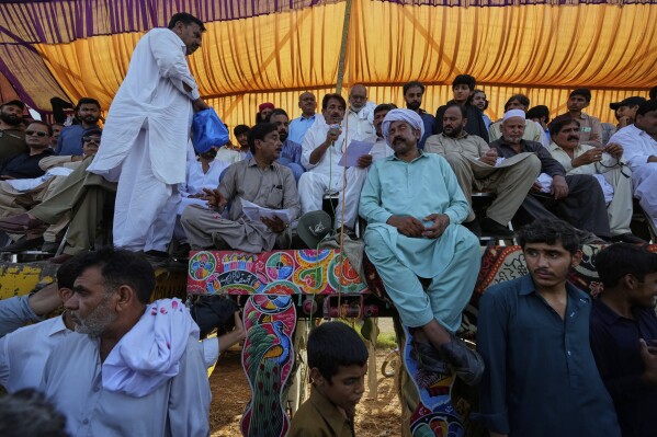 A member of judges panel announce winners on the end of a traditional bull race competition, in Malal, a village of Attock district, in Pakistan, Thursday, May 15, 2025. (AP Photo/Anjum Naveed)