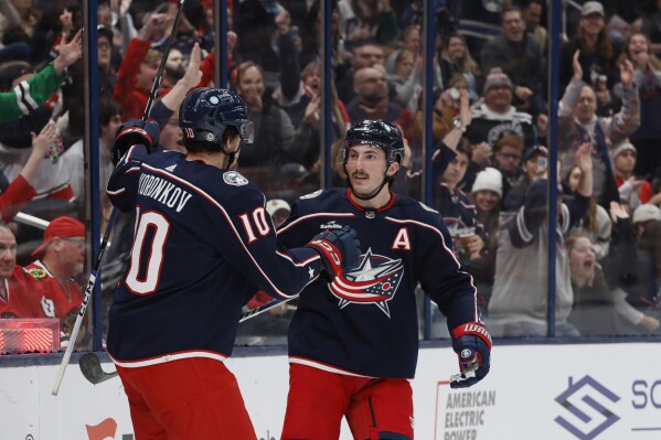 Columbus Blue Jackets' Dmitri Voronkov, left, celebrates his goal against the Chicago Blackhawks with Zach Werenski during the second period of an NHL hockey game Wednesday, Nov. 22, 2023, in Columbus, Ohio. (AP Photo/Jay LaPrete)