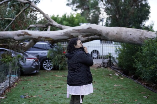 Maura Taura surveys the damaged cause by a downed tree outside her home after Tropical Storm Hilary went through Monday, Aug. 21, 2023, in Sun Valley, Calif. (AP Photo/Marcio Jose Sanchez)