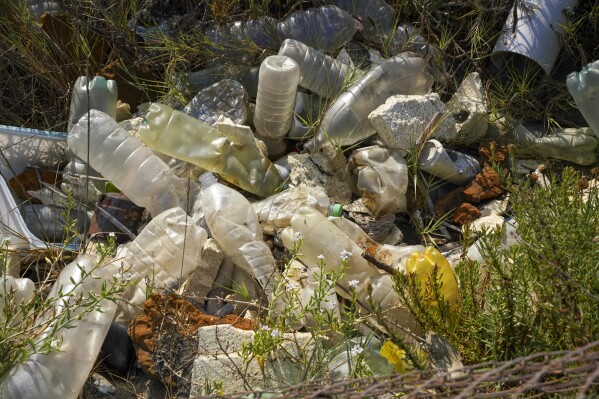 FILE - Plastic bottles and other garbage are seen next to a beach at Fiumicino, Italy, near Rome, Saturday, Aug. 15, 2020. We breathe, eat and drink tiny particles of plastic. But are these minuscule specks in the body harmless, dangerous or somewhere in between? A small study published Wednesday, March 6, 2024, in the New England Journal of Medicine raises more questions than it answers about how these bits — microplastics and the smaller nanoplastics — might affect the heart. (AP Photo/Andrew Medichini, File)