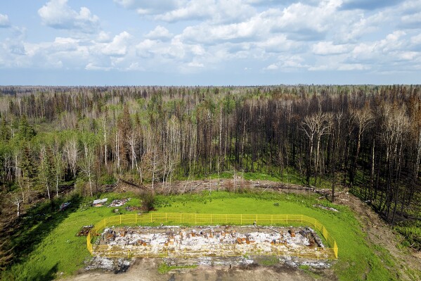 Yellow fencing surrounds a fourplex destroyed by a May wildfire at Sturgeon Lake Cree First Nation northwest of Edmonton Alberta on Tuesday July 3 2023 The building housed four of the tribes elders AP PhotoNoah Berger