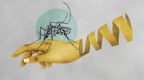 Illustration about malaria and mosquitoes transmitting the disease. (Illustration/Amelia Bates, Grist via AP)