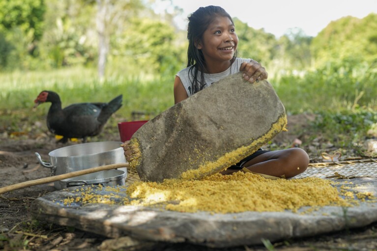 An Indigenous Wari' girl smashes corn to prepare food in Guajara-Mirim, Rondonia state, Brazil, Thursday, July 13, 2023. (AP Photo/Andre Penner)