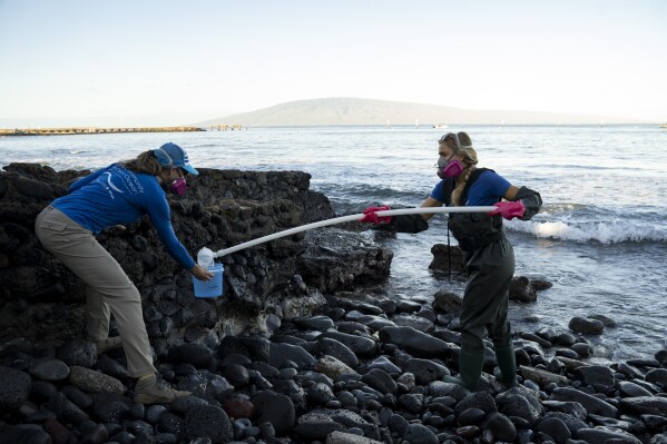 Tova Callender, left, and Christiane Keyhani of Hui O Ka Wai Ola, collect water samples at the Mala Tavern on Friday, Feb. 23, 2024, in Lahaina, Hawaii. (AP Photo/Mengshin Lin)