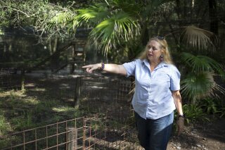 FILE - In this July 20, 2017, file photo, Carole Baskin, founder of Big Cat Rescue, walks the property near Tampa, Fla. The family of Don Lewis, a Florida man who disappeared in 1997 and who appeared on the hit TV series “Tiger King,” has hired a lawyer and is offering $100,000 in exchange for information to help solve the case. Attorney John Phillips held a news conference Monday, Aug. 10, 2020 and announced the investigation into Don Lewis’ disappearance.  (Loren Elliott/Tampa Bay Times via AP, File)