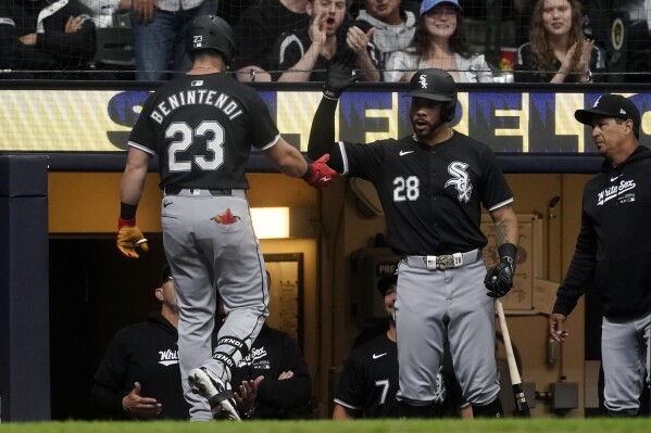 Chicago White Sox's Andrew Benintendi (23) is congratulated by Tommy Pham (28) in the dugout after hitting a solo home run during the third inning of a baseball game against the Milwaukee Brewers, Saturday, June 1, 2024, in Milwaukee. (AP Photo/Aaron Gash)