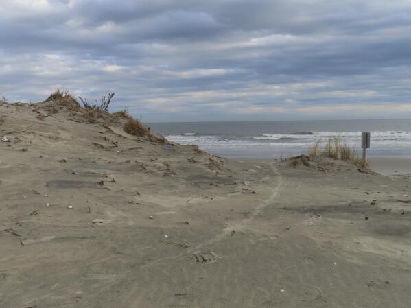 Large chunks of the sand dune on a beach in North Wildwood, N.J. are missing in this Jan. 5, 2023 photo. North Wildwood, which is defying a state order not to do emergency repairs to its eroded beach, is suing New Jersey for $21 million, asserting it has spent that amount trucking sand in to widen its beaches in the absence of a government beach replenishment project. (AP Photo/Wayne Parry)