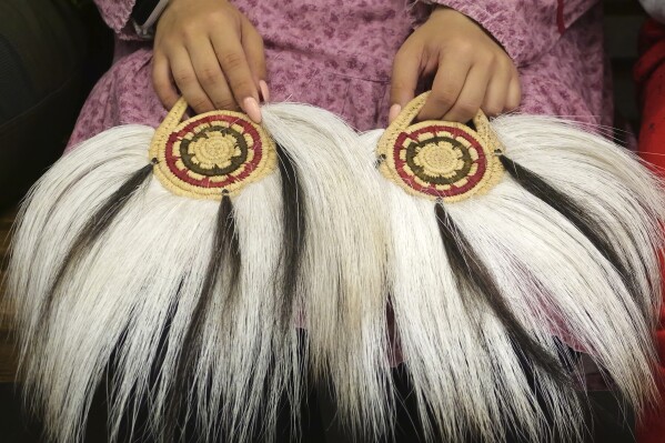 A young girl prepares to participate in an Indigenous drum and dance on Thursday, Aug. 15, 2024, Mertarvik, Alaska. (AP Photo/Rick Bowmer)