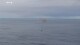 This photo provided by Axiom Space shows a SpaceX capsule parachuting into the Atlantic Ocean on Friday, Feb. 9, 2024 off the Florida coast. Astronauts from Turkey, Italy and Sweden returned to Earth on Friday, ending a private three-week mission to the International Space Station. (Axiom Space via 番茄直播)