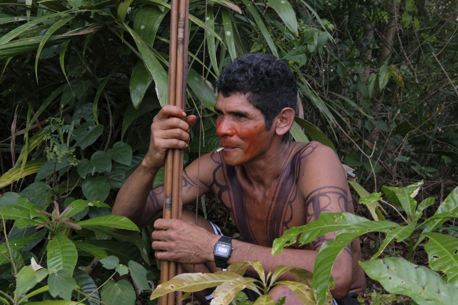 amazon rainforest people