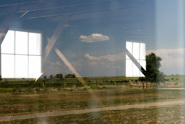 The windows of an original barracks housing people incarcerated at the Minidoka camp reflect cows grazing in adjacent farmland that once held hundreds of similar barracks on the original site at the Minidoka National Historic Site, Thursday, July 6, 2023, in Jerome, Idaho. After World War II, the camp was disassembled, with the barracks being given to local farmers or demolished. The one barracks structure now returned to Minidoka has been modified over the years. (AP Photo/Lindsey Wasson)