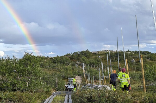 People work to build a new fence along the border with Russia, next to Storskog, Norway, Wednesday Aug. 23, 2023. Norway is re-building a section of fence in the Arctic along its border with Russia to contain wandering reindeer, Norwegian officials said Thursday, adding 42 animals have crossed into its eastern neighbor in a costly stroll this year. (HT Gjerde Finnmark via AP)
